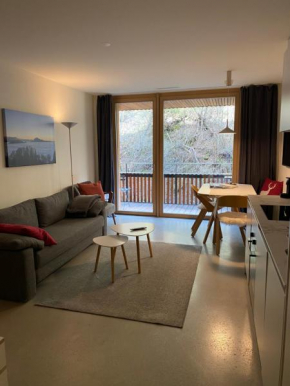 Stilvolle Ferienwohnung direkt an der Skipiste